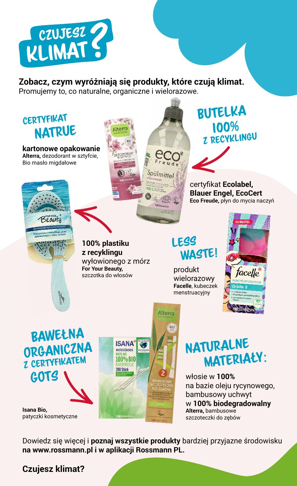 rossmann_listopad2_str15